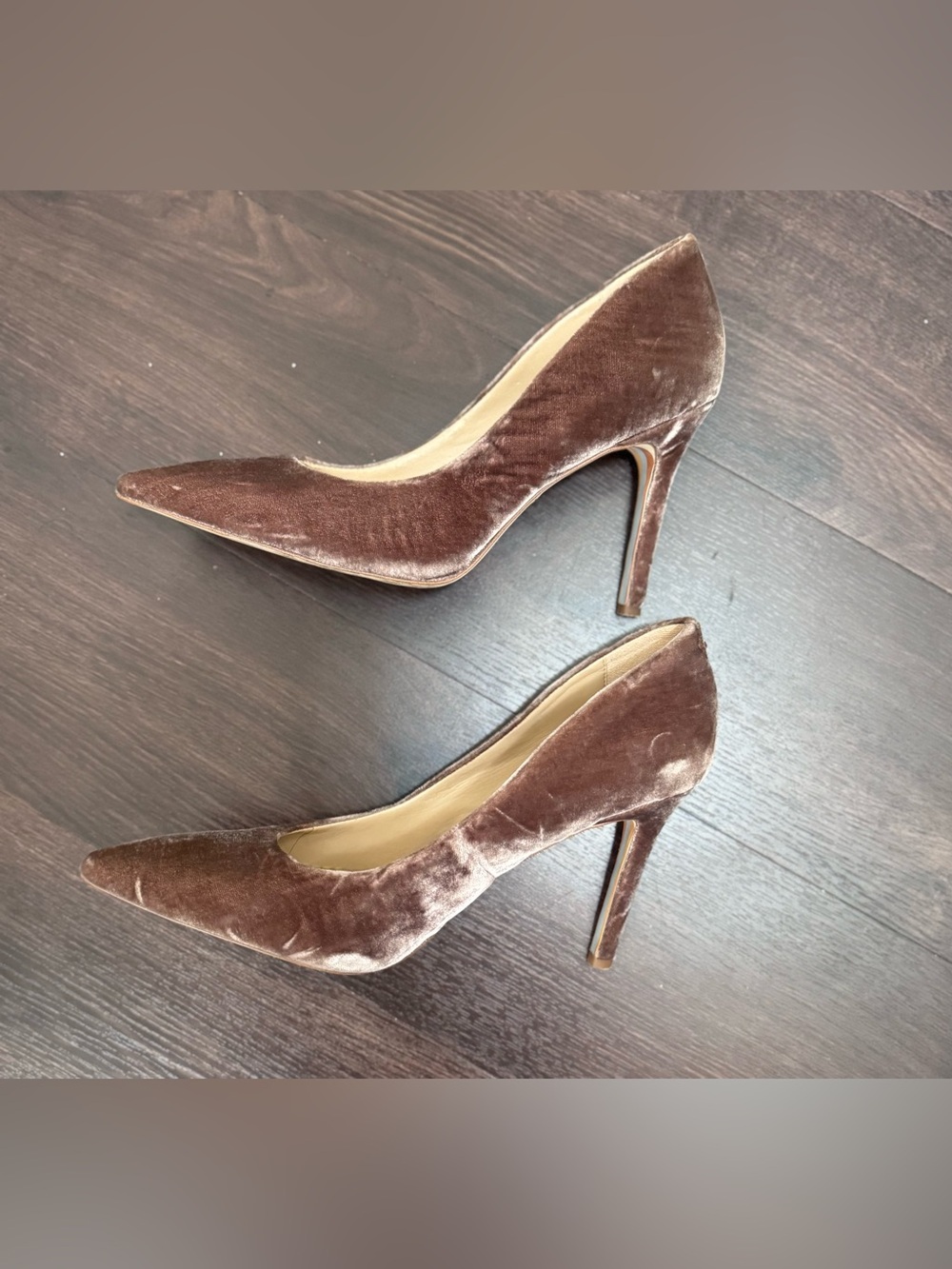 Sam Edelman Hazel Velvet Pumps in Mink Shadow Size 9
